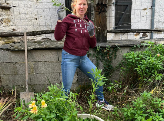 design-sans-titre--5-.KsUNOrCxu1(3)