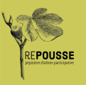 Logo Repousse